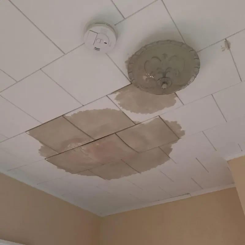 Ceiling Water Damage Repair in Yorkville, OH