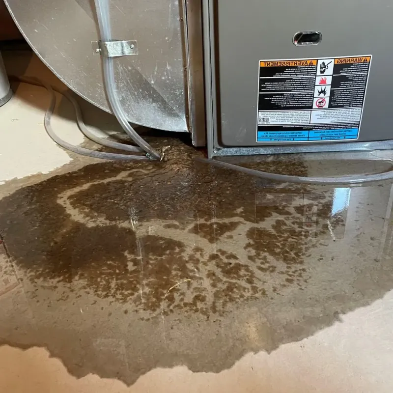 Pipe Burst and Leak Restoration in Yorkville, OH