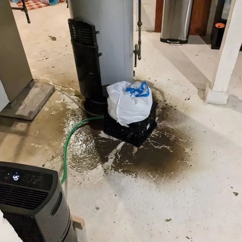 Sewage Backup Cleanup Service in Yorkville, OH